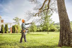 Why Choose Our Tree Removal Services in Midland, WA?